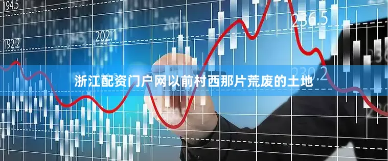 浙江配资门户网以前村西那片荒废的土地