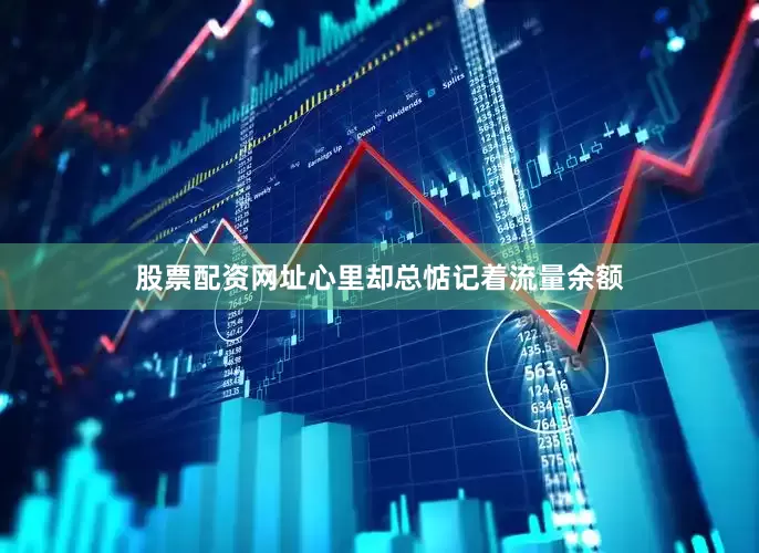 股票配资网址心里却总惦记着流量余额
