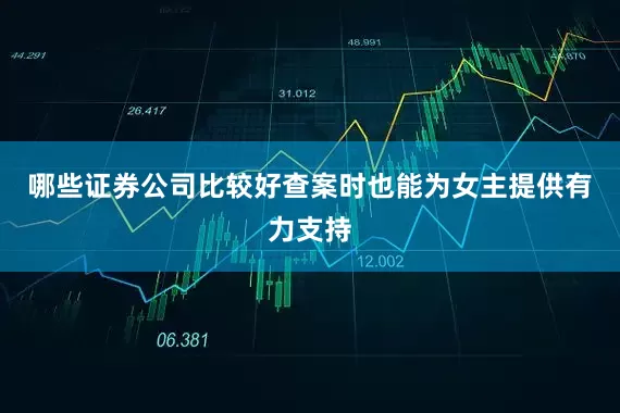 哪些证券公司比较好查案时也能为女主提供有力支持