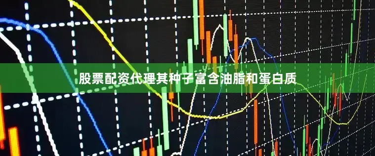 股票配资代理其种子富含油脂和蛋白质