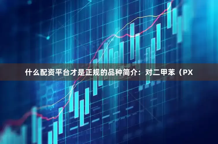 什么配资平台才是正规的品种简介：对二甲苯（PX