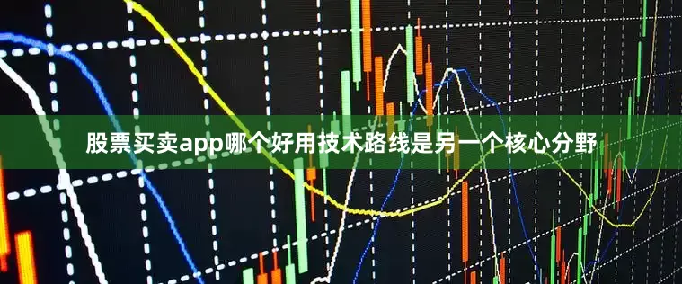 股票买卖app哪个好用技术路线是另一个核心分野