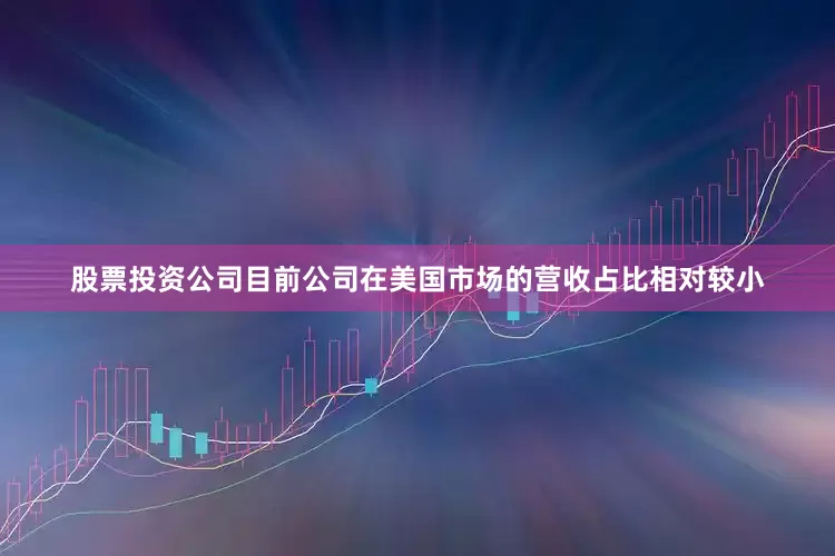 股票投资公司目前公司在美国市场的营收占比相对较小